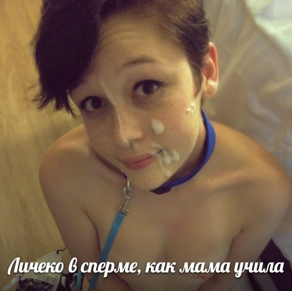 Золотая коллекция 8550