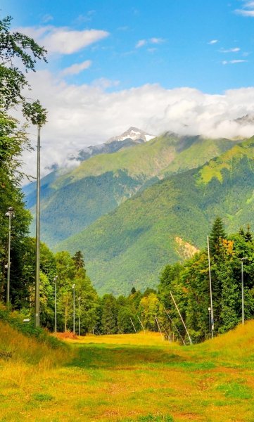 Screenshot 20260417-161139 One UI Home