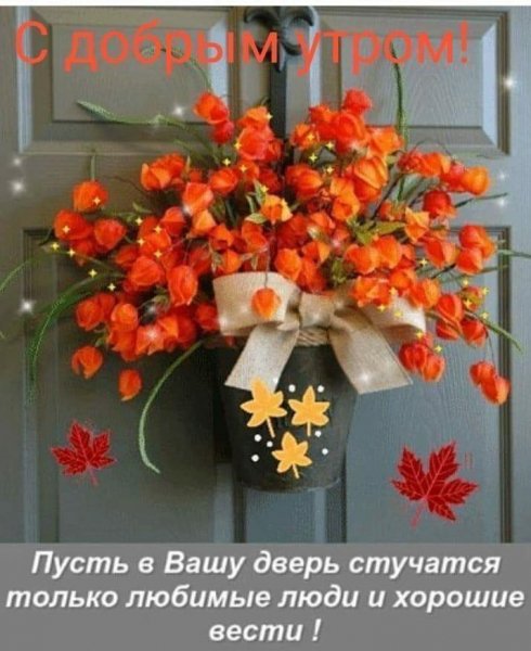 IMG-20210913-WA0003