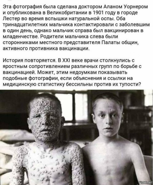Прививки