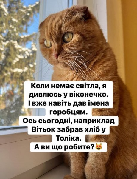 Коли немає світла