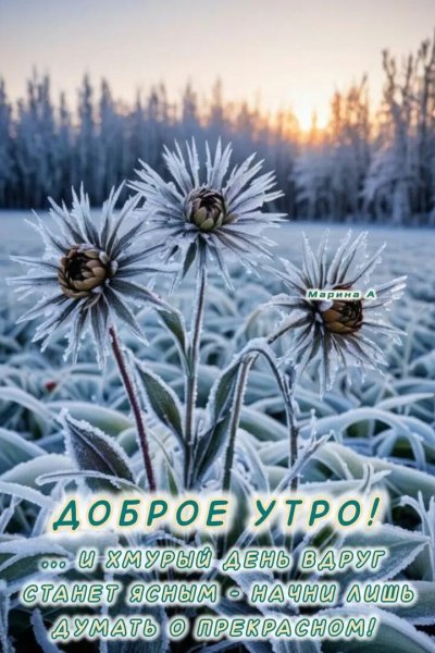 Доброе утро!