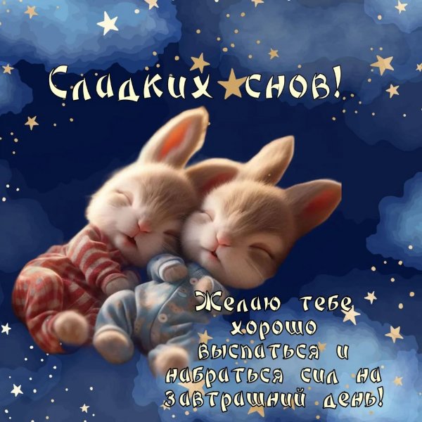 IMG 20260126 201337 389