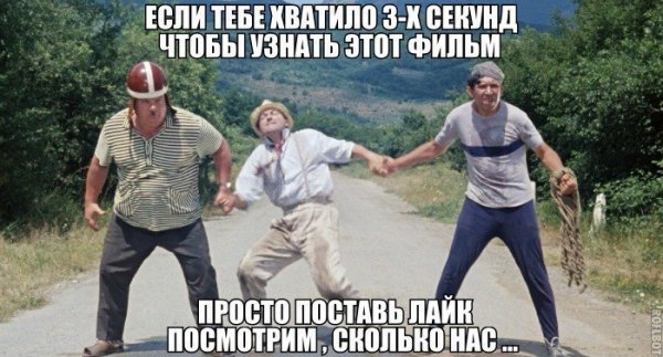 FY