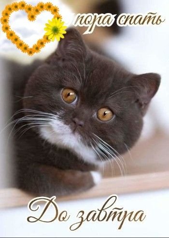 f4573-dd75-4808-b8f3-ce90ade0e719