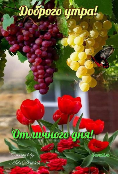 IMG-20210830-WA0000