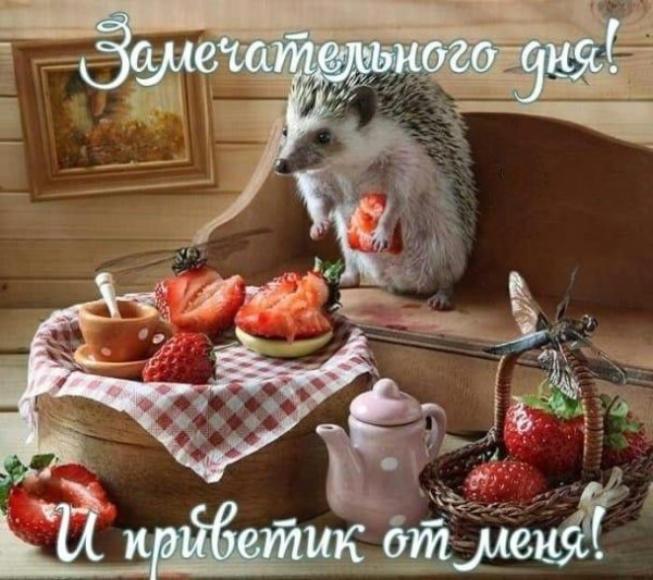 10ed8052b2cacc8bd22e498fab54d2c4