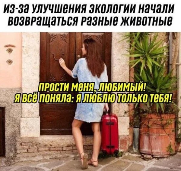 Hldre4jl