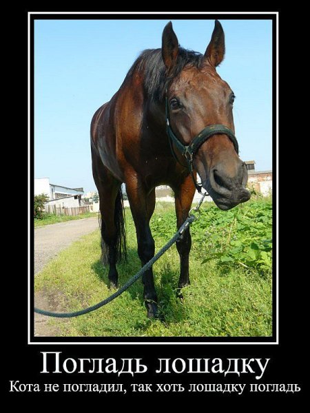 Да! ))