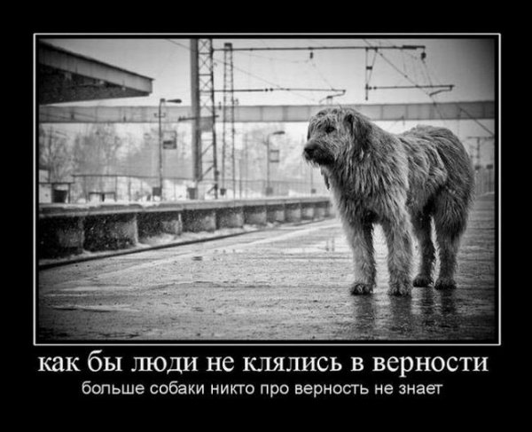 Так и есть!