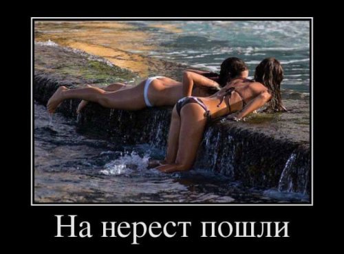 prikoly-dlya-vzroslyh-21