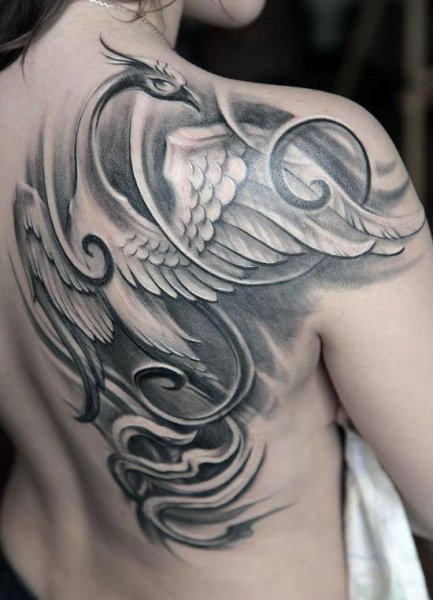 Tattoo (5093)
