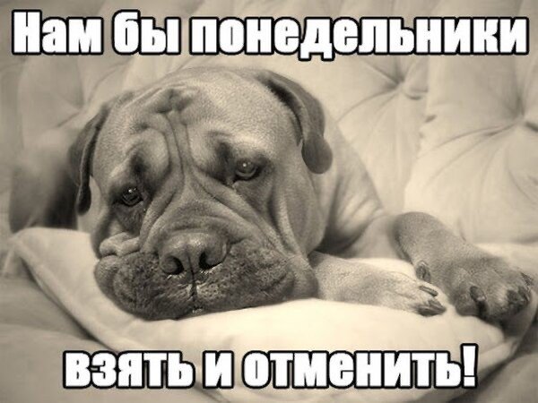 B48bbbc20d 20452812