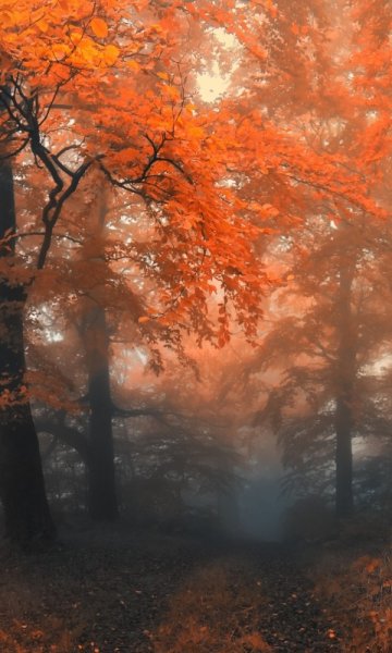 Природа