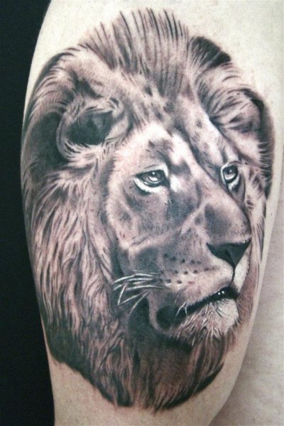 Tattoo (4555)