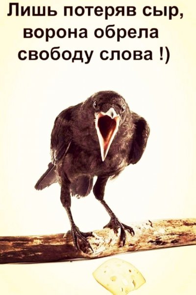 pressa tv memes-13