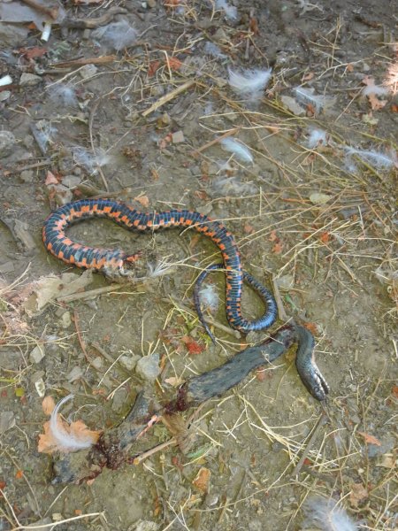 IMG 20250802 111147 299