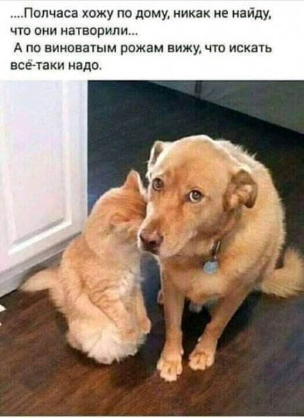 FB IMG 16424317057806421