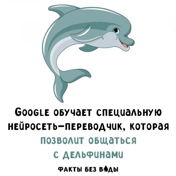 IMG 20260303 202324 536