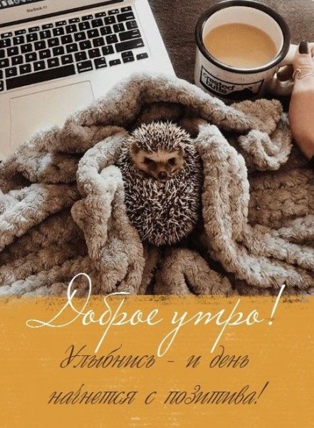 0c031d712d6b3aa49910dab2bbb95111