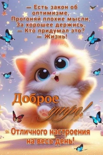 IMG 20260221 113010 070