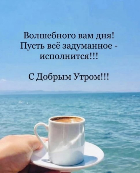 Друзья мои!!!