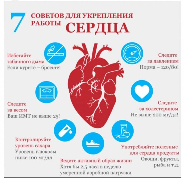 7 советов
