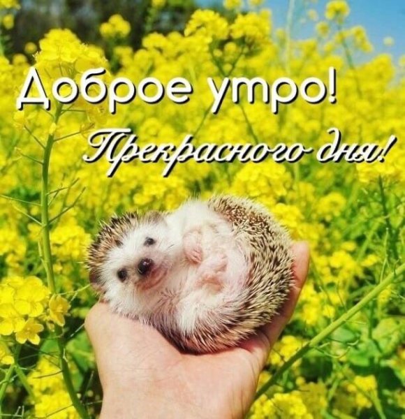 C8aaf784c851b10d658a0b0572578f2e