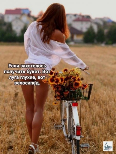 e03c8952fbd2111675235493e26a