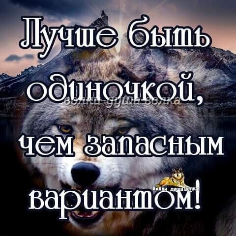 02-58-48-201128692 832185234402711 7672989846101457603 n