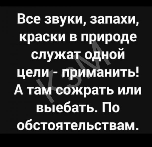 В этом что то есть))
