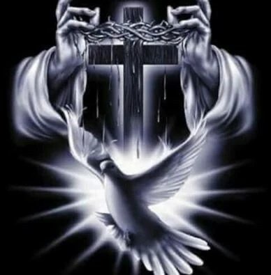 IMG 20260115 184922 648