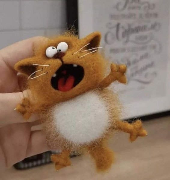 A2480f990dcc72e3e78be5dabcbbec20