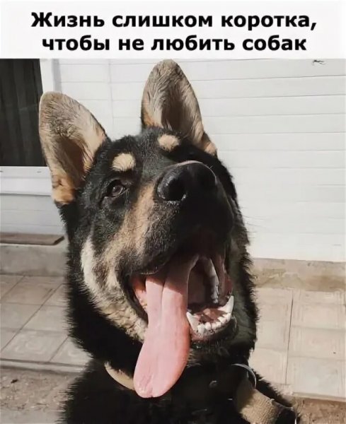 Верные слова!