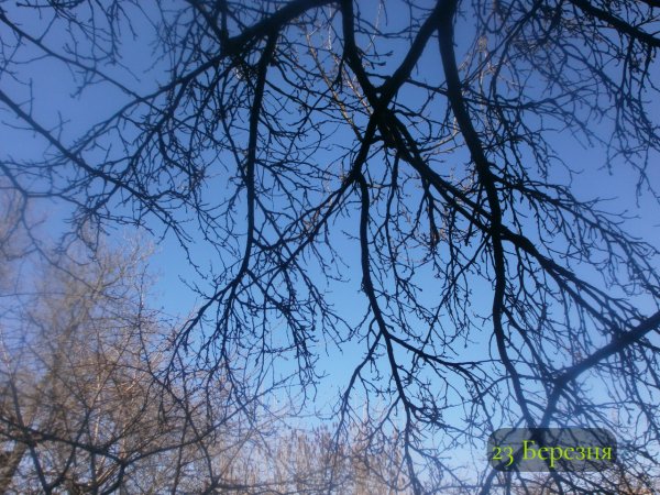 23 Березня