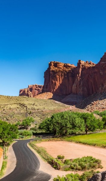 Screenshot 20260306-121915 One UI Home