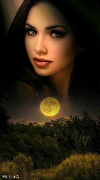 0a4dc594ea53bd2bd9312b00d787e730