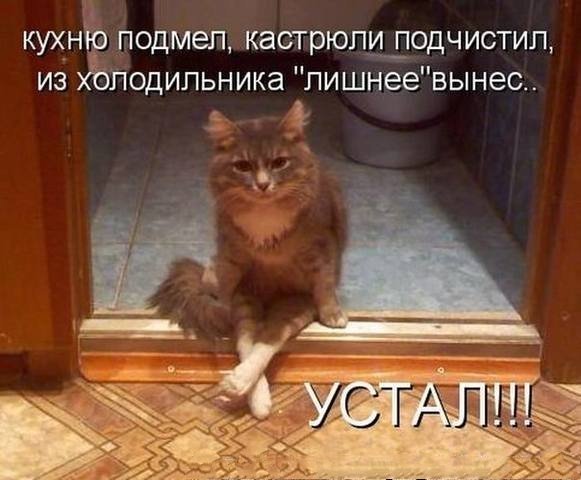 Помощник или хозяин?