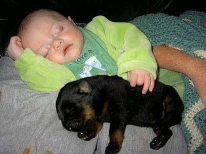 ed5687df2fa9b925621955c8ebe14f1a