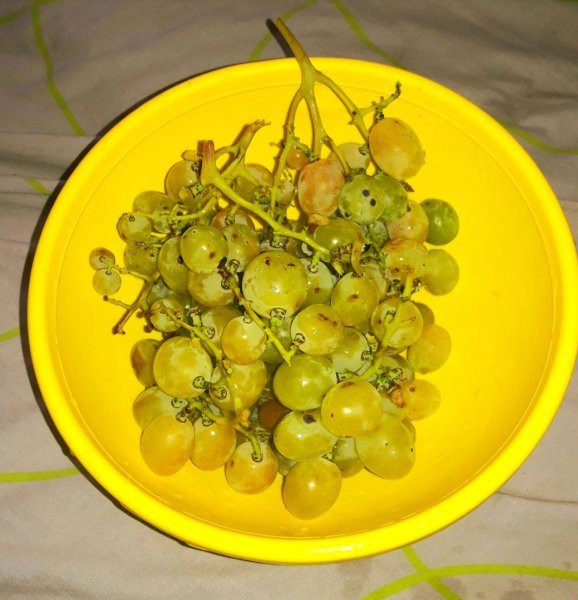 IMG 20240821 111740 998