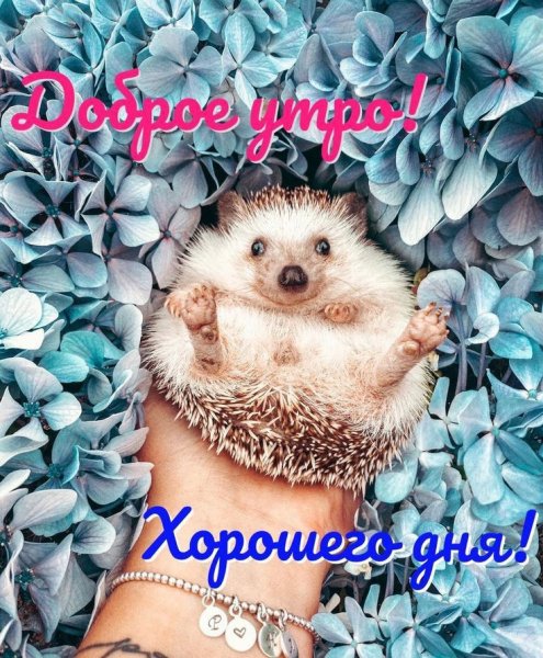 f910d40bff30fd62b777ffbd006c