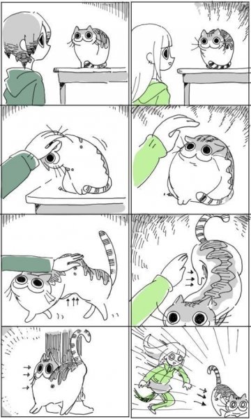 e19c481ac525f64228d1b60c9981