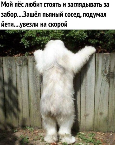 IMG 20260402 042558 942