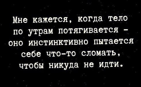 image (1)