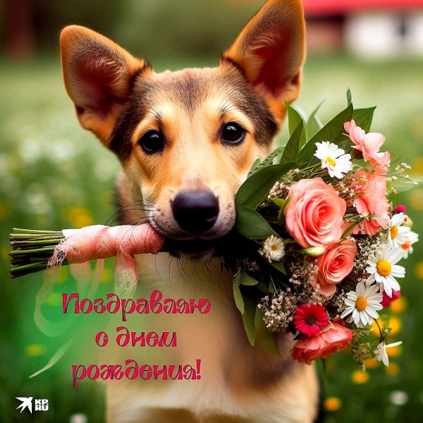 С днём рождения!