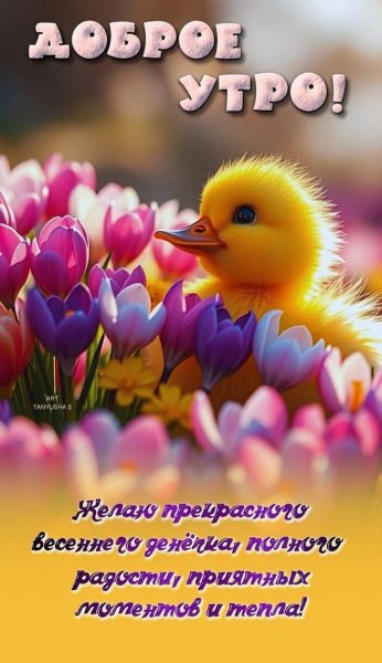 IMG-20250527-WA0000