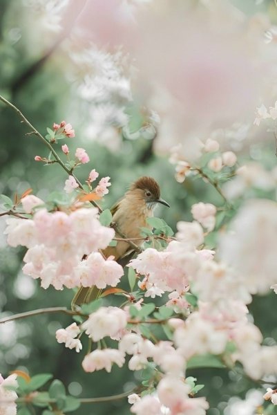 MCvqf9bNr3D7Smx1OXE8iAZYzEc0UxzsiI6qAstglKMZ6FnDN5pusCB8ogrU