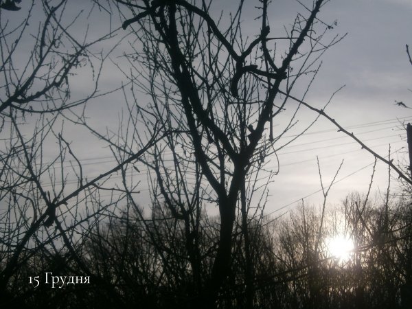 15 Грудня