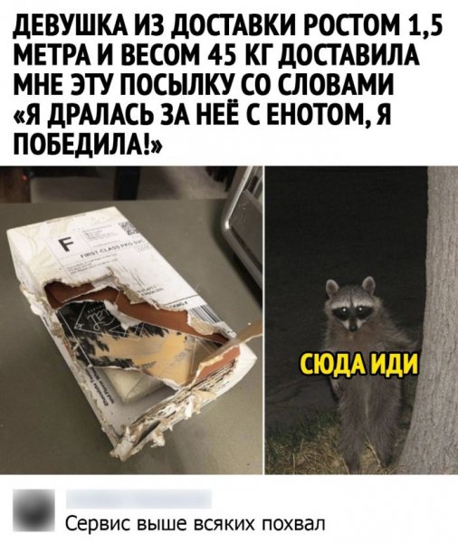 originalnye-kommentarii-k-kartinkam-i-foto-5