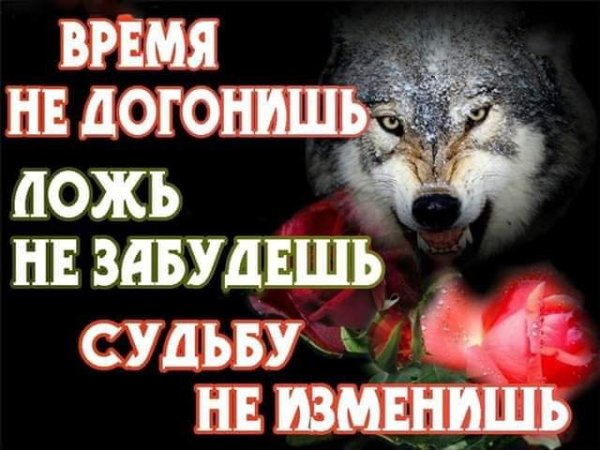 FB IMG 1566822722303